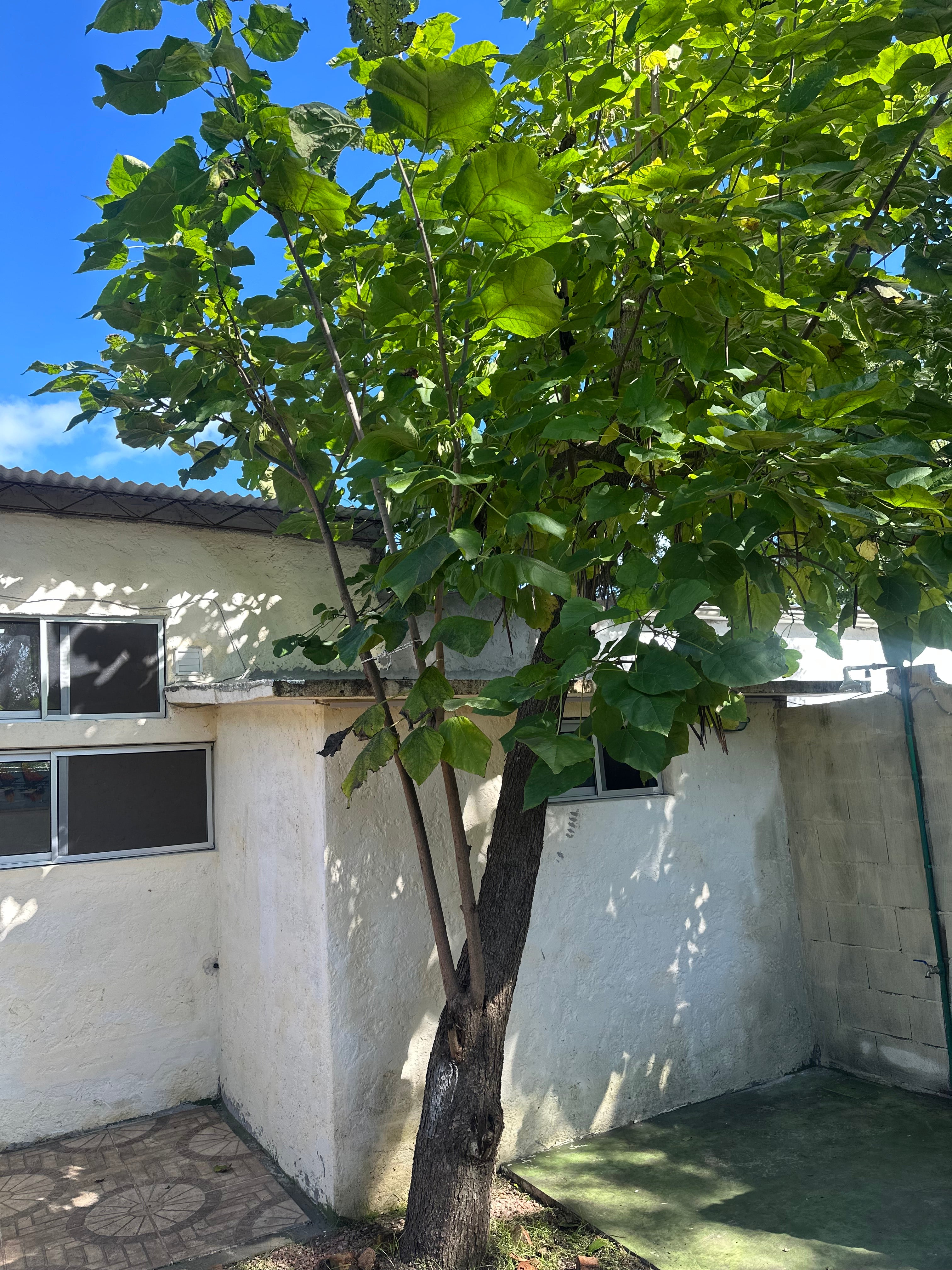 ALQUILER DE CASA EN EL FORTÍN